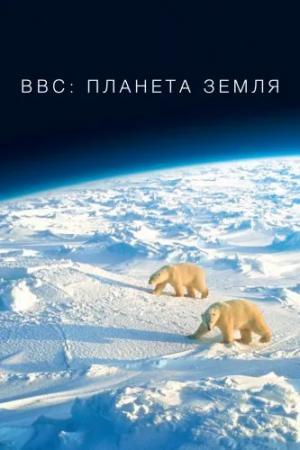 BBC: Планета Земля 1 сезон смотреть онлайн