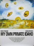 Мой личный штат Айдахо (1991)