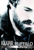 Слепота (2008)